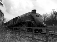 Shildon-13