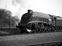 Shildon-5