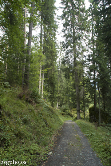 Flims-29.jpg
