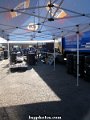Testday1-5