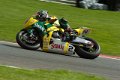 Cadwell-108