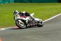 Cadwell-113