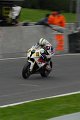 Cadwell-239