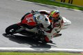 D200_0381-1