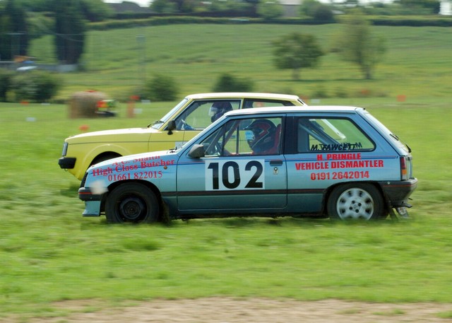 D50_0003-1.JPG
