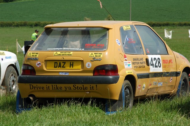 D50_0054-1.JPG