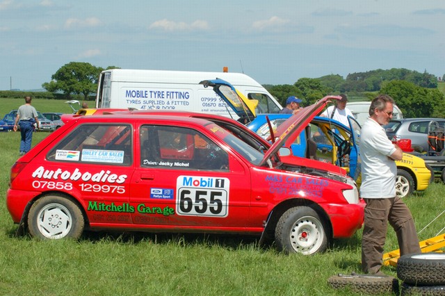 D50_0080-1.JPG