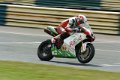 BSB_Croft_2011_0079
