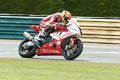 BSB_Croft_2011_0088