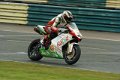 BSB_Croft_2011_0108