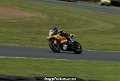 NoLimits-123