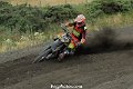 _DSC0245