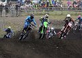 SGSHOUSESAT_250