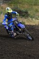 SGSHOUSESAT_268