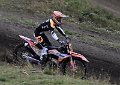 SGSHOUSESAT_276