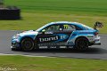 TCR-Croft23-101