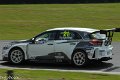 TCR-Croft23-109