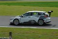 TCR-Croft23-117