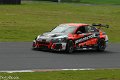 TCR-Croft23-13