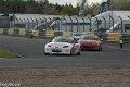 TCR-Croft23-138