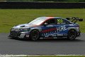 TCR-Croft23-18