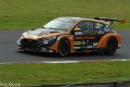 TCR-Croft23-29