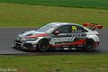 TCR-Croft23-58