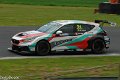 TCR-Croft23-76