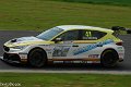 TCR-Croft23-77