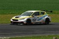 TCR-Croft23-84